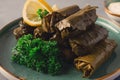 Dolma, cabbage rolls, grape leaves with filling, white sauce, lemon and herbs, rustic, selective focus, no people,