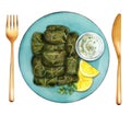 Dolma, cabbage rolls or grape leaves with filling. Watercolor illustration Royalty Free Stock Photo