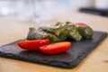 Dolma, delicious Casucasian and Turkish cuisine, vine leaves stuffed with minced meat and rice Royalty Free Stock Photo