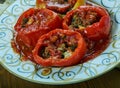 Dolma Felfel Royalty Free Stock Photo