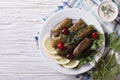 Dolma: grape leaves stuffed with meat, horizontal top view