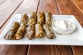 dolma is large family of traditional dishes of grape leaf snacks stuffed with various fillings. It is widespread in Royalty Free Stock Photo