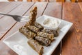 Dolma is large family of traditional dishes of grape leaf snacks stuffed with various fillings. It is widespread in Royalty Free Stock Photo