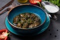 Dolma with meat in grape leaf and kefir-based sauce Royalty Free Stock Photo