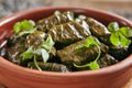 Dolma, Sarma, Dolmades, Dolmadakia or Tolma Close Up Royalty Free Stock Photo