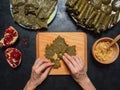 Dolma Stuffed Grape leaves. Mediterranean cuisine Royalty Free Stock Photo