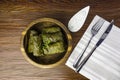 Dolma sarma or tolma stuffed grape leaves and white sauce cream Royalty Free Stock Photo