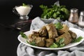 Dolma - stuffed grape leaves with rice and meat on black background. Traditional Caucasian, Greek, Ottoman and Turkish cuisine Royalty Free Stock Photo