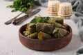 Dolma - stuffed grape leaves with rice and meat on light gray background. Traditional Caucasian, Greek, Ottoman and Turkish Royalty Free Stock Photo