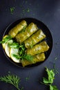 Dolma, stuffed grape leaves with rice and meat