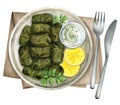 Dolma, stuffed grape leaves with rice and meat. Watercolor illustration Royalty Free Stock Photo