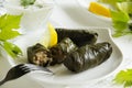 Dolma, stuffed grape leaves,