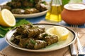 Dolma - stuffed grapes leaves, traditional mediterranean dish. Royalty Free Stock Photo