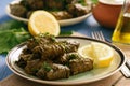 Dolma - stuffed grapes leaves, traditional mediterranean dish. Royalty Free Stock Photo