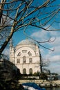 The Dolmabahce Mosque is in Istanbul, Turkey. It was commissioned by queen mother Bezmi Alem Valide Sultan.