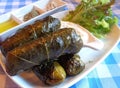 Dolmades, Grape Leaves Stuffed with Rice and Herbs, Traditional Greek and Mediterranean Appetizer Royalty Free Stock Photo