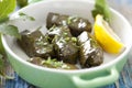 Dolmades Royalty Free Stock Photo