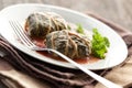 Dolmades with rhubarb leaves, meat and rice Royalty Free Stock Photo