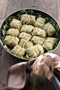 Dolmades with rhubarb leaves, meat and rice Royalty Free Stock Photo