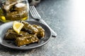 Dolmades. Stuffed vine leaves. Greek appetizer on plate Royalty Free Stock Photo