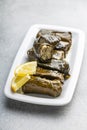 Dolmades. Stuffed vine leaves. Greek appetizer on plate Royalty Free Stock Photo