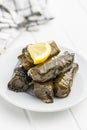 Dolmades. Stuffed vine leaves. Greek appetizer on plate