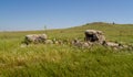 The dolmen, ancient burial place in Gamla Nature Reserve, Israel