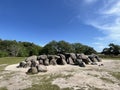 Dolmen around the Havelterberg Royalty Free Stock Photo