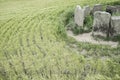 Dolmen of Cerca del Marco, Magacela, Extremadura. Spain Royalty Free Stock Photo