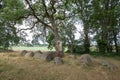 Dolmen D37, Ooster Esch municipality of Valthe in the Dutch province of Drenthe