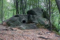 Dolmen in the forest, in the valley of the river Psezuaps