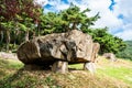 Dolmen in Gochang dolmens site from neolithic in Gochang South Korea