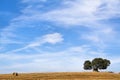 Dolmen Mediterranean landscape