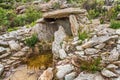 Dolmen at Revincu in Corsica Royalty Free Stock Photo
