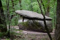 Dolmen in Shapsug. Forest in the city near the village of Shapsugskaya, sights are dolmens and ruins of ancient civilization Royalty Free Stock Photo