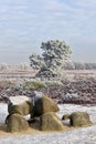 Dolmen in the Winter Royalty Free Stock Photo