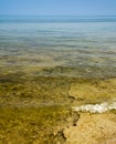 Dolomite Limestone Terrace Under Clear Lake Michigan Water in Wisconsin