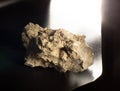 Dolomite mineral with a prehistoric shell from Vitebsk, Belarus. A stone on black background. For geology or minerology