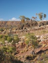 Dolomite nature walk near Ellery Creek Royalty Free Stock Photo