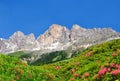 Dolomite peaks Rosengarten Royalty Free Stock Photo