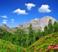 Dolomite peaks, Rosengarten Royalty Free Stock Photo