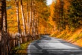 Dolomites Alps, Funes Valley, Autumn Road