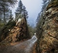 The Dolomites. The winding path between mountain rocks