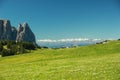 Dolomites - Blooming Meadow Royalty Free Stock Photo