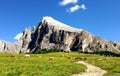 Cows grazing at the foot of the Dolomites