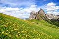 Seceda peak with flowers during summer time in Dolomites, Italy