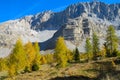 Autumn mountains of Dolomites yellow color landscape Royalty Free Stock Photo