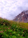 Dolomiti mountains, details Royalty Free Stock Photo