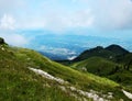 Dolomiti mountains, forest in Cadore, in Dolomiti region, noth Italy Royalty Free Stock Photo