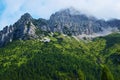 Dolomiti mountains, forest in Cadore, in Dolomiti region, noth Italy Royalty Free Stock Photo